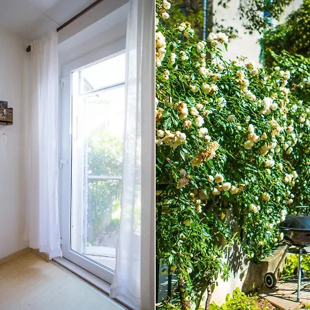 Lemon Tree *
