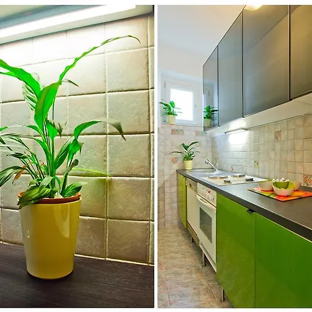 Appartement Lemon Tree
