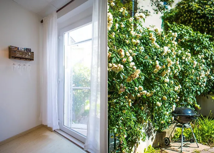 Lemon Tree *