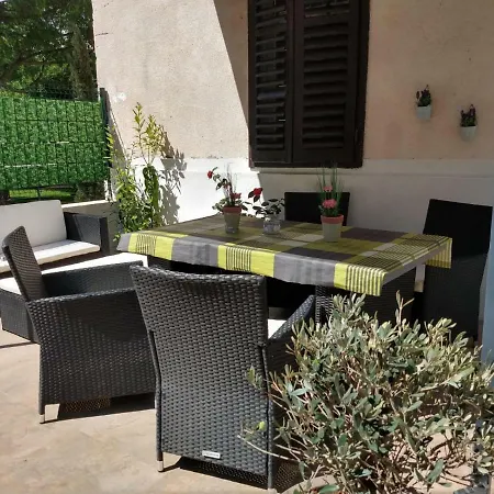 Lemon Tree
