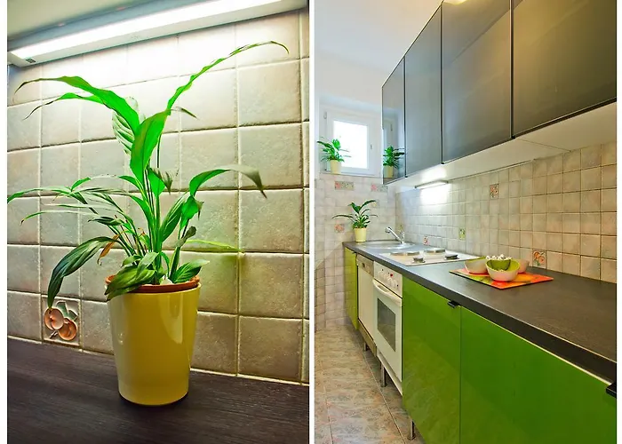 Apartment Lemon Tree