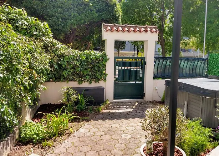 Lemon Tree Apartment