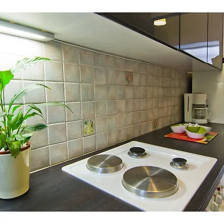 Lemon Tree 스플리트